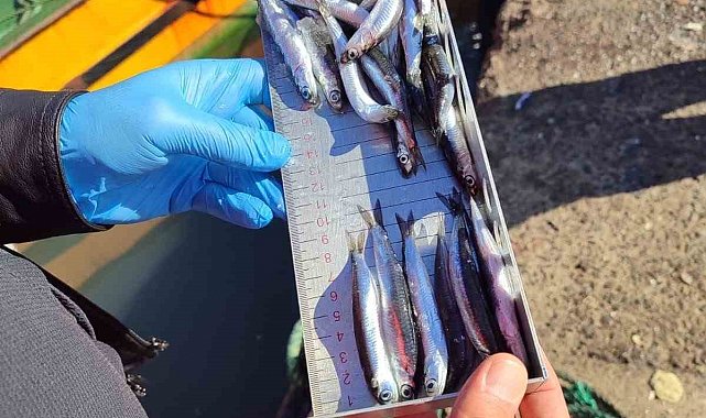 Karadeniz Ereğli'de balıkçılık denetimlerinde 153 tekneye e-seyir onayı verildi