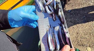 Karadeniz Ereğli'de balıkçılık denetimlerinde 153 tekneye e-seyir onayı verildi