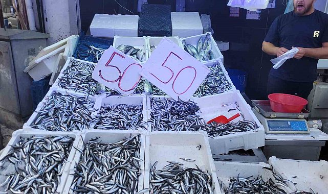 Karadeniz hamsisi tezgahları doldurdu: Kilosu 50 lira