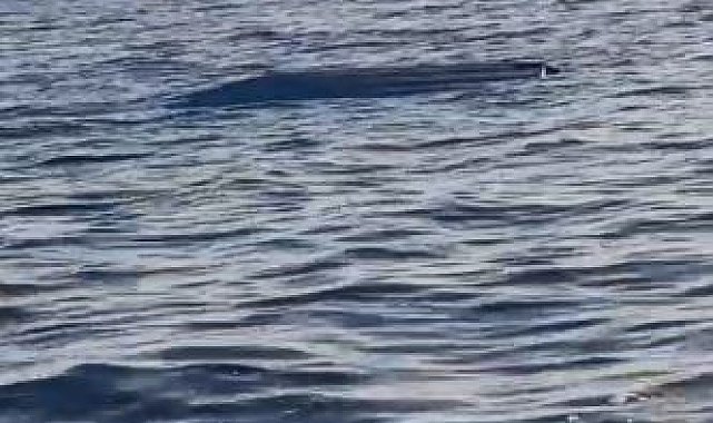 Karadeniz kıyılarında bir insansız deniz aracı şüphesi daha