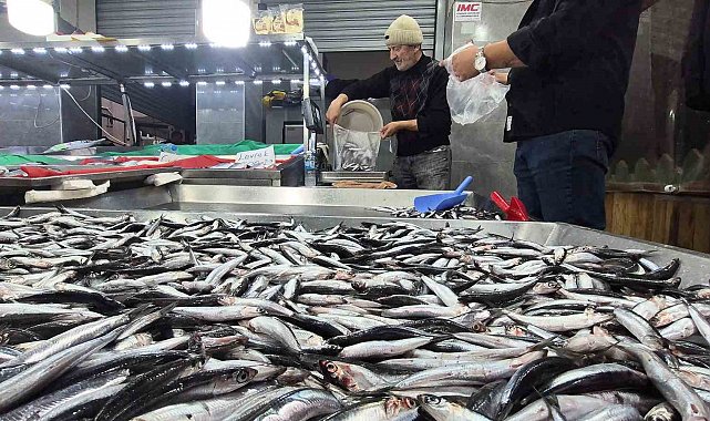 Karadeniz'de hamsi bollaştı, Bartın'da kilosu 50TL'ye düştü