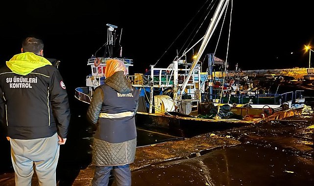 Karadeniz'de hamsi yoğunluğu devam ediyor