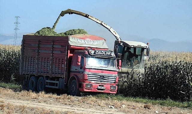 Karapınar'da mısır hasadı başladı