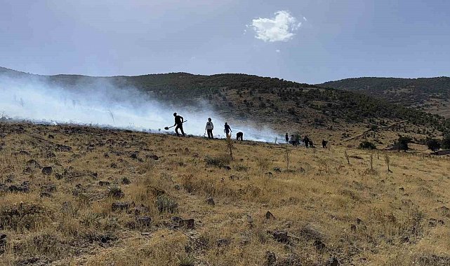 Karapınar'da ot yangını ormana sıçramadan söndürüldü