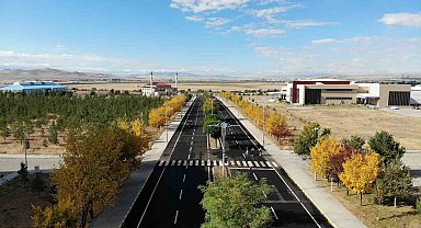 Kars'ta renk tonuna bürünen ağaçlar büyüledi