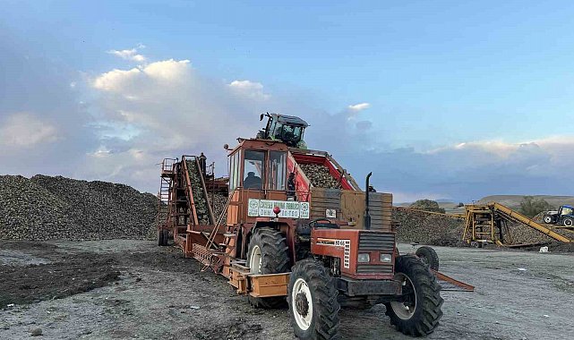 Kars'ta şeker pancarı hasadında yoğun mesai: Çiftçiler zamanla yarışıyor