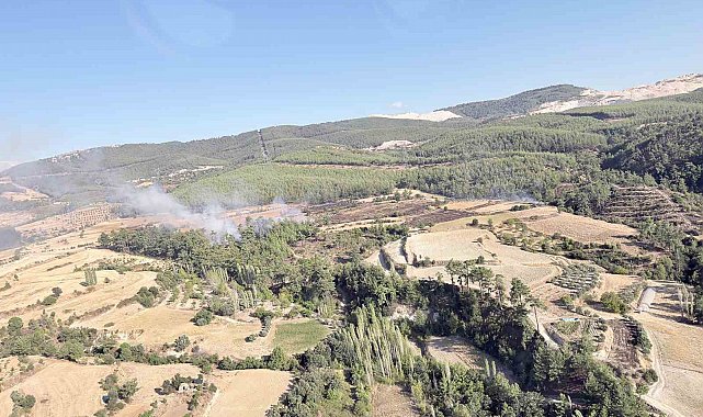 Kavaklıdere-Bozdoğan sınırındaki yangın kısa sürede söndürüldü