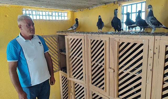 Kayıp güvercinlerini bulana ödülü 100 bin liraya çıkardı