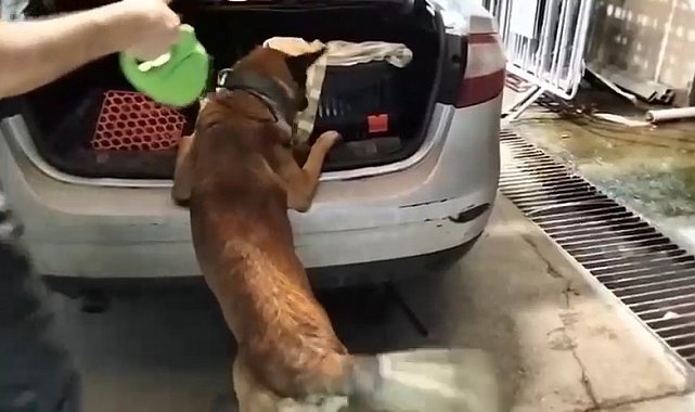 Kedi taşıma çantasında 2 kilo uyuşturucu ele geçirildi