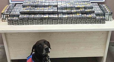 Kimlik kontrolü için durdurulan 2 tırdan 560 paket kaçak sigara ele geçirildi
