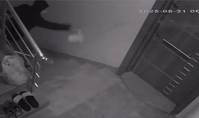 Komşularını canından bezdirdi