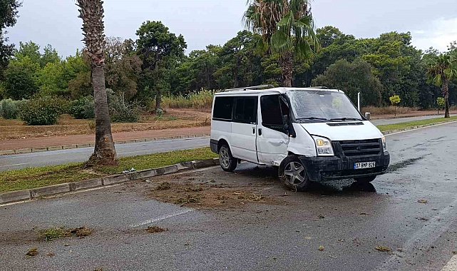 Kontrolden çıkan kamyonet palmiye ağacına çarptı: Kaza anı kamerada