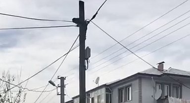 Köpeklerden kaçtı, direkte mahsur kaldı