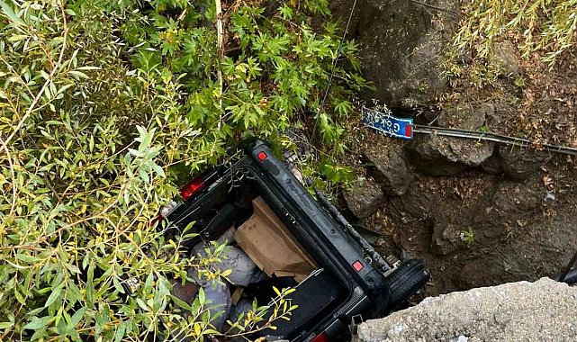 Köprüden uçan otomobil ağaç dallarında asılı kaldı: 2 yaralı