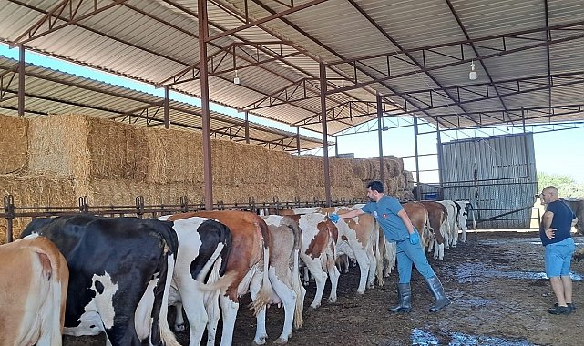 Köşk'te 12 mahalle karantinaya alındı
