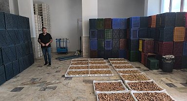 Köşk'te kuru incir depolarına sıkı denetim