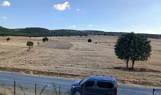 Kulp'ta sağanak başladı, çiftçiler umutlandı