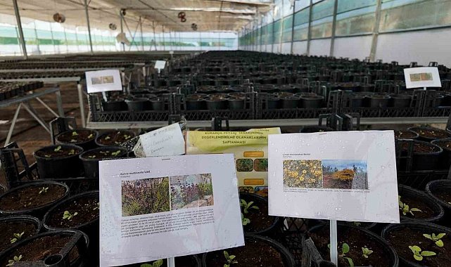 Kurakçıl Peyzaj Tasarımı Projesi'ne destek