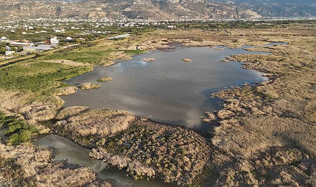 Kuraklığın etkisiyle çölü aratmaz hale gelen Milleyha'da yağışlarla birlikte kuşların sesleri yankılanmaya başladı