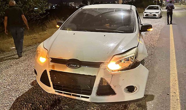 Malatya'da otomobilin çarptığı domuz telef oldu