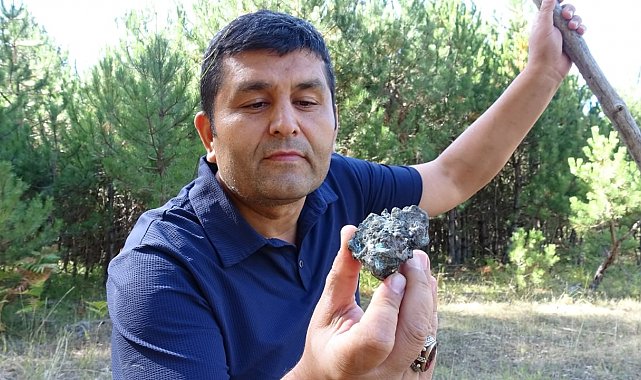 Mantar toplarken göktaşı buldu