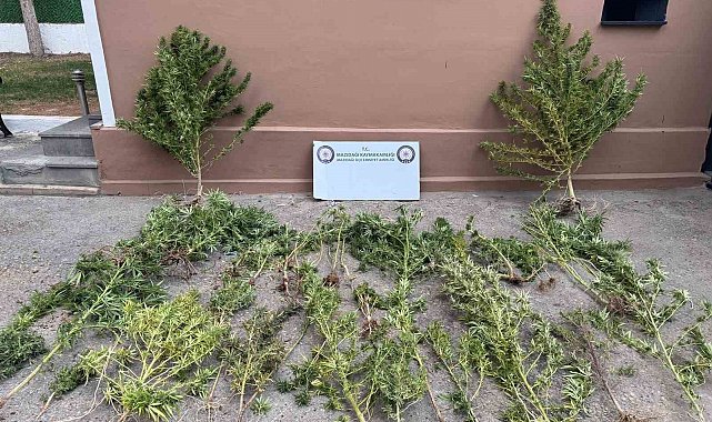 Mardin'de uyuşturucu operasyonu: 3 gözaltı