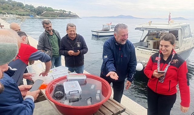 Marmara'da 400 ıstakoz yavrusu yapay resiflere bırakıldı