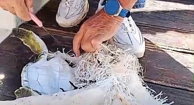 Marmaris Körfezi'nde çuvala dolanan deniz kaplumbağasını çevreciler kurtardı