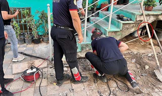 Merdiven boşluğuna sıkışan yavru kediyi itfaiye ekipleri kurtardı