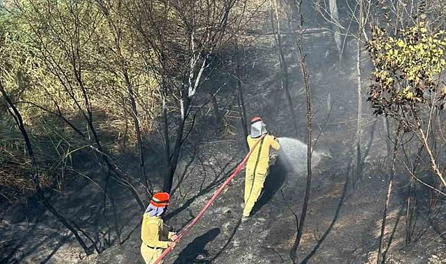 Mersin'de bahçe yangını büyümeden söndürüldü
