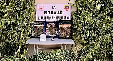 Mersin'de uyuşturucu operasyonu