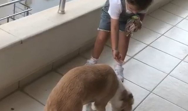 Minik Gökçe'den örnek davranış