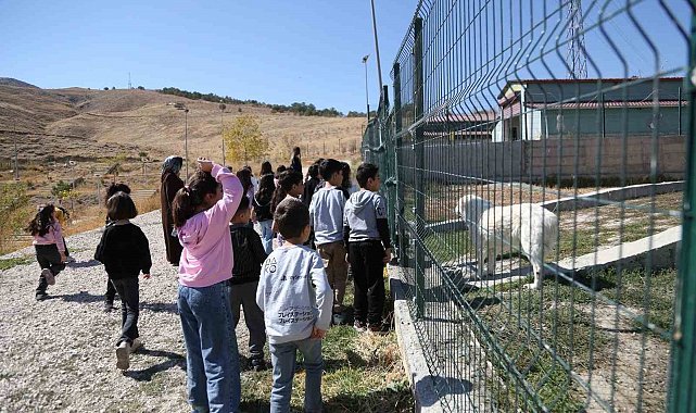 Minik öğrenciler patili dostlarını ziyaret etti