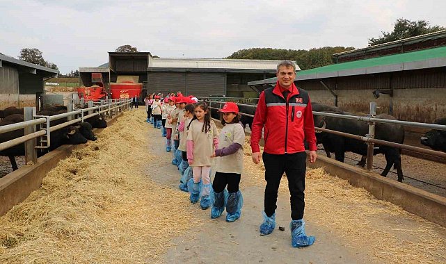 Minikler tarımı yerinde öğrendi