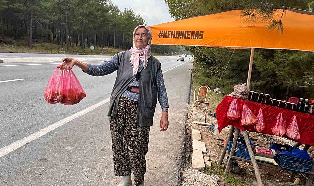 Muğla'da çıntarlar tezgahtaki yerini aldı