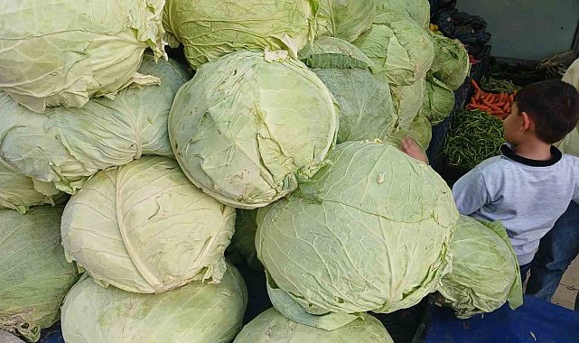 Muş lahanaları Diyarbakır'da tezgahlarda yerini aldı