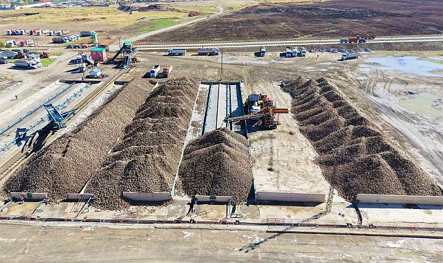 Muş Ovası'nda 1,7 milyar TL'lik tatlı yolculuk