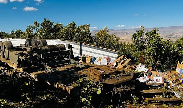 Muş'ta freni boşalan tır kaza yaptı: 1 yaralı
