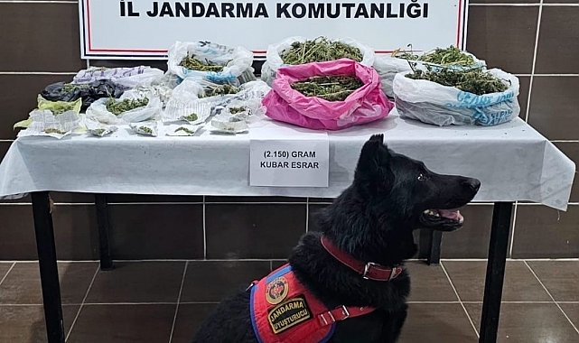 Muş'ta uyuşturucu operasyonu: 1 gözaltı