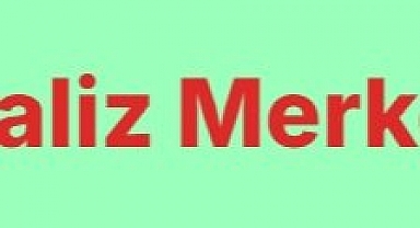 Nitel Verinin Sesi: MAXQDA Analizi ile Profesyonel Kodlama Deneyimi