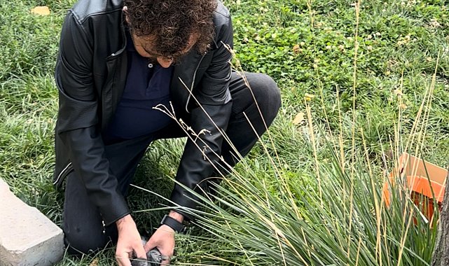 Öğretmenin fark ettiği yaralı güvercin kurtarıldı