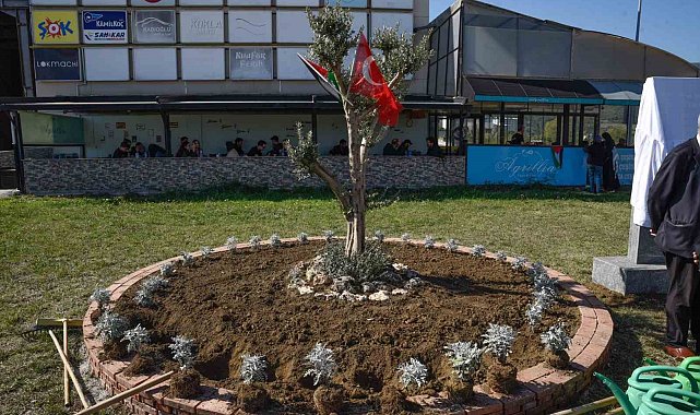 OMÜ'de Filistin için "zeytin ağacı anıtı" dikildi