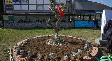 OMÜ'de Filistin için "zeytin ağacı anıtı" dikildi