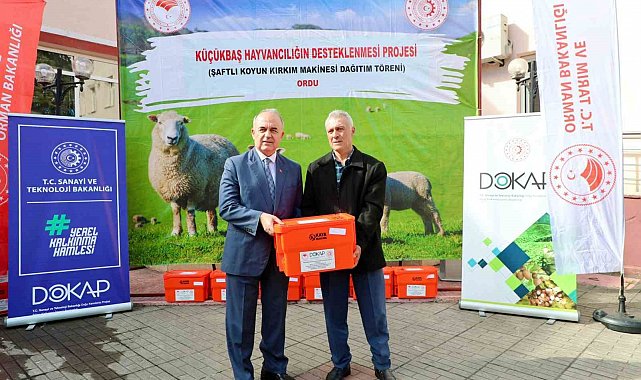 Ordu'da 150 koyun yetiştiricisine kırkım makine desteği