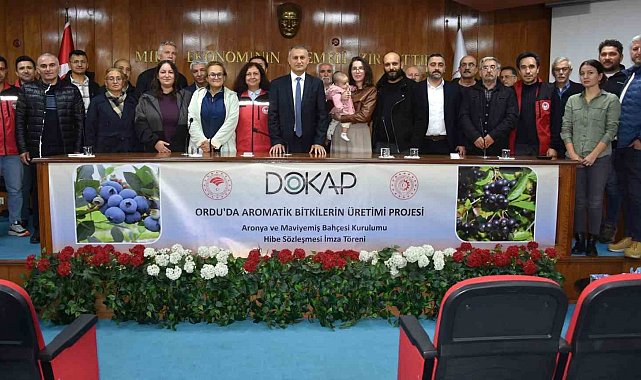 Ordu'da maviyemiş ve aronya üretim alanı 180 dekara ulaşıyor