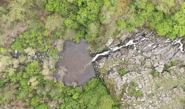 Ormanın içerisindeki şelale görenleri mest ediyor