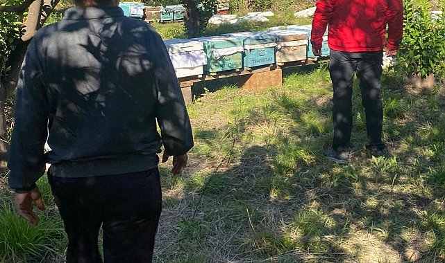 Ortaca'da arılı kovan desteklemeleri devam ediyor