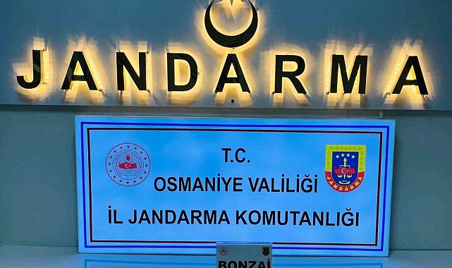 Osmaniye'de bir haftada 124 şüpheli yakalandı