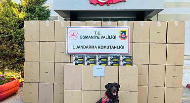 Osmaniye'de kaçak makaron operasyonunda 1 tutuklama
