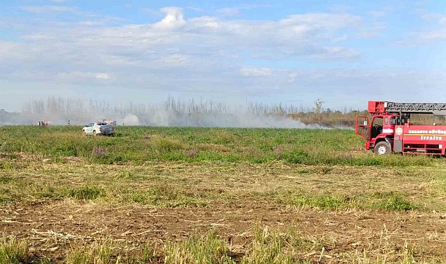 Otluk alanda çıkan yangın söndürüldü